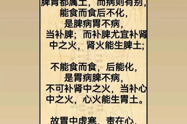 肠胃在五行中的归属与健康影响分析