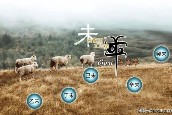 羊年运势透析：事业与感情的关键变化
