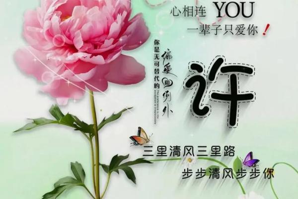 许姓的名字中隐藏的智慧与传统价值