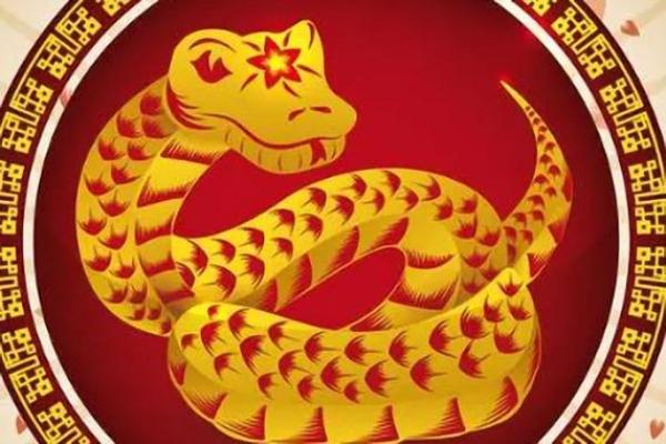 出生的人属于蛇生肖