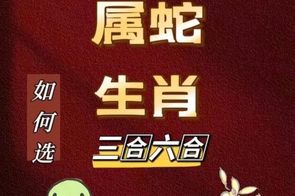出生的人属于蛇生肖