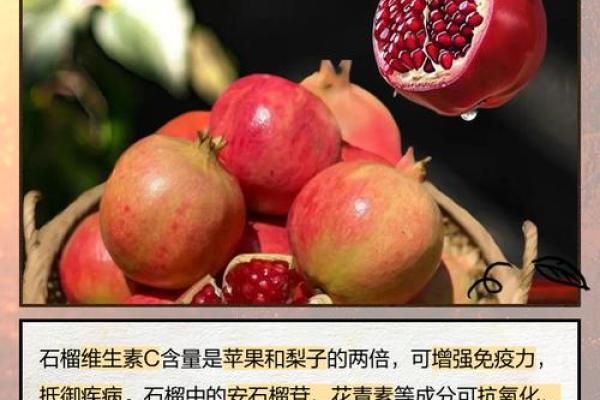 石榴木命在五行中的独特作用与影响