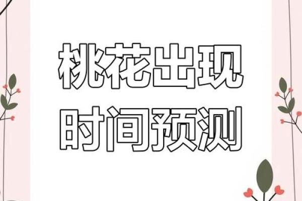看女命桃花运势：是时机到了还是要等待