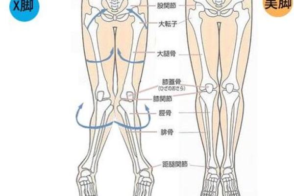 男人走路八字脚与性格之间的深层联系