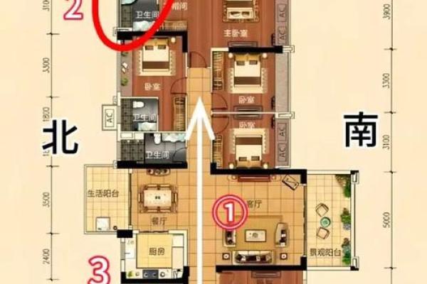 童坤元家居风水解析：提升家庭运势的布局技巧