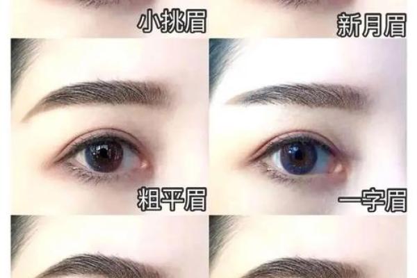 眉毛风水解析与图解:影响命运的面部细节 眉毛风水解析与图解:影响命运的面部细节