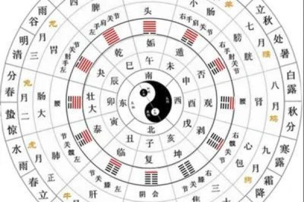 曲炜八字断流年精解：揭示流年运势的深度解析技巧