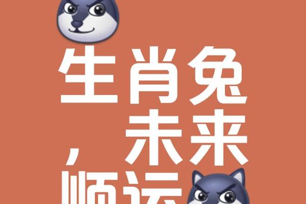 属兔探索运势，简单又神奇