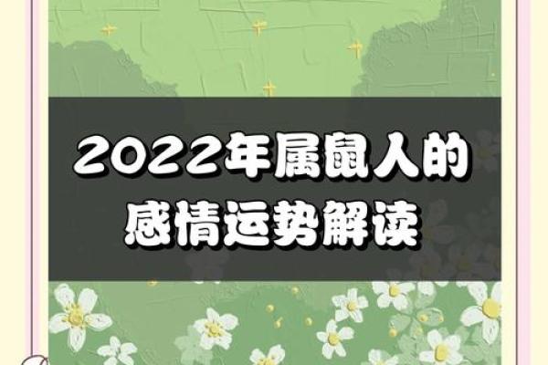 属鼠，运势与人生的独特轨迹