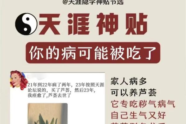 破解风水经典著作中的智慧 破解风水经典著作中的智慧