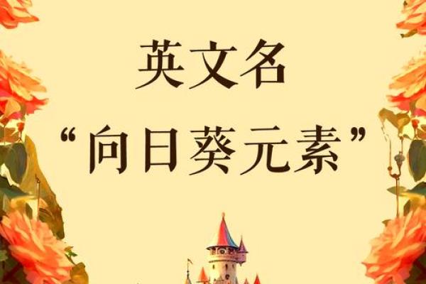名字的力量：如何选择适合自己命运的名字