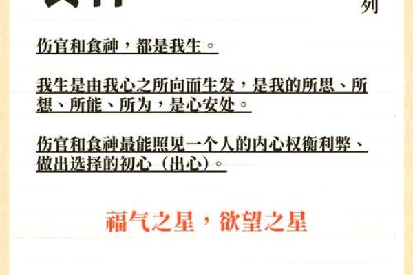食神命与人生财富：食神如何带来好运与财富