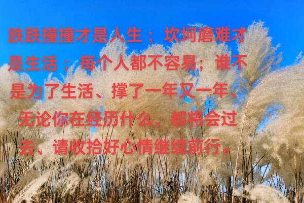 命运坎坷的原因解析