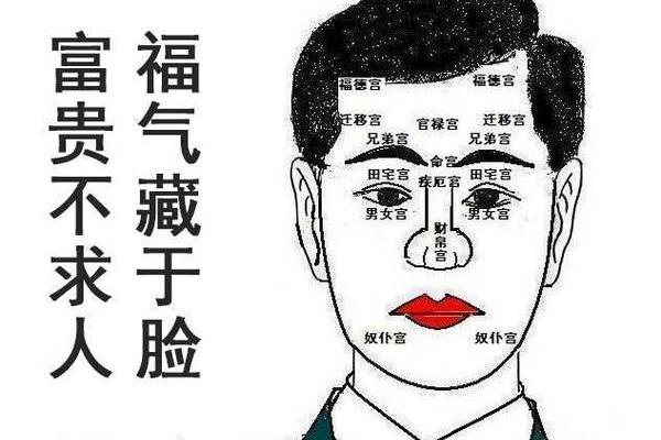 天机八字解析：揭开命运之谜的神秘面纱