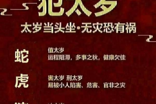 进山狗木命的含义与特点解析