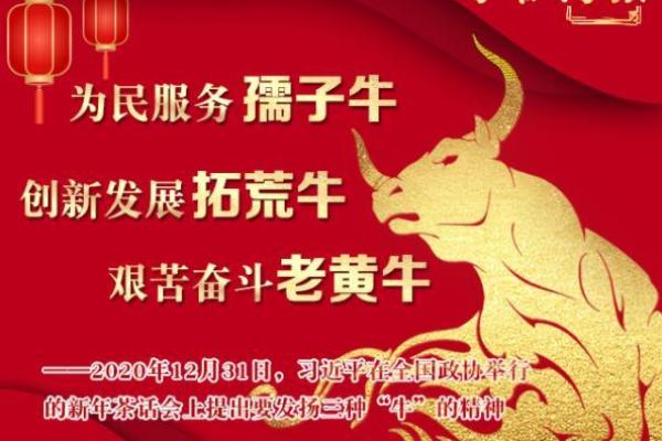 牛年带来坚实步伐与奋进动力