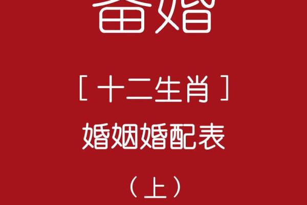 探索十二生肖最匹配的爱情组合