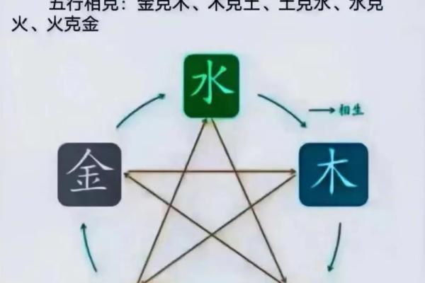 草字头五行属水的字解析及其文化意义