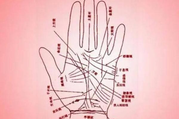 了解富贵命的手掌线条和标志