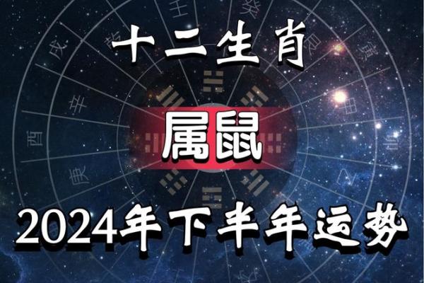 属鼠的命运如何，解析其一生运势