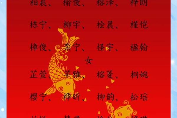 为未出生宝宝选个幸运名字 免费起名助您一臂之力