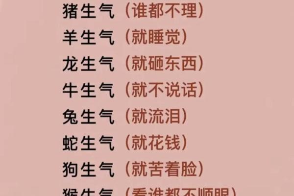 生肖属相与个人命运的深度关系分析