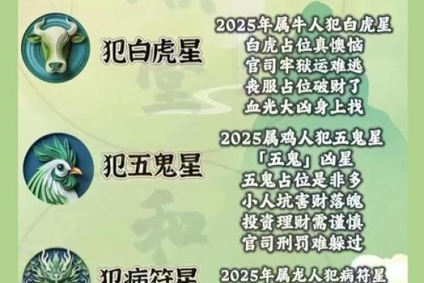 犯太岁生肖运程详解及注意事项
