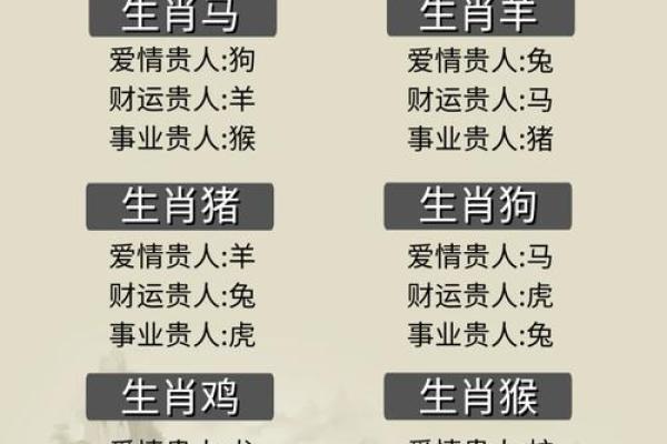 肖排序表及其背后的文化意义解析