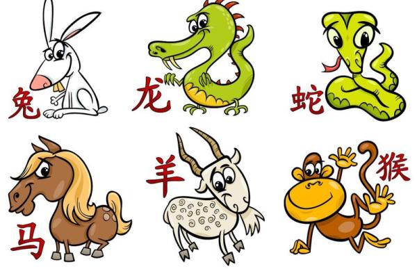 肖排序表及其背后的文化意义解析