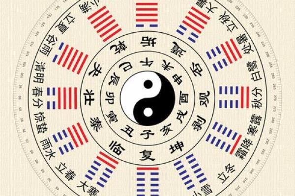 八字命理与健康：如何通过八字预测疾病倾向