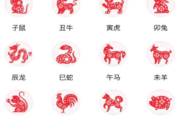 十二生肖排行大解析：哪些生肖运势最强？