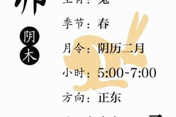 解析卯字与生肖的关联