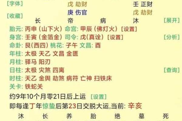 贵命背后的命理密码揭秘