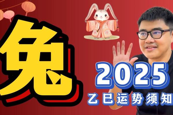 兔子运势大揭秘：未来一段时间的幸运与风险