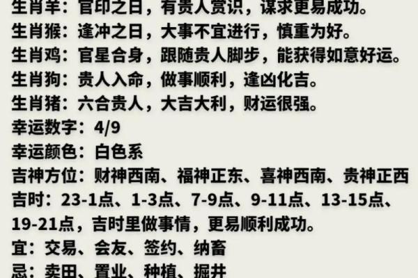 生肖运势指南 今年哪些生肖最容易成功