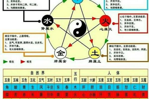 沙中土命与生肖的关系解析