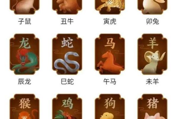属什么生肖 生肖特点和运势分析