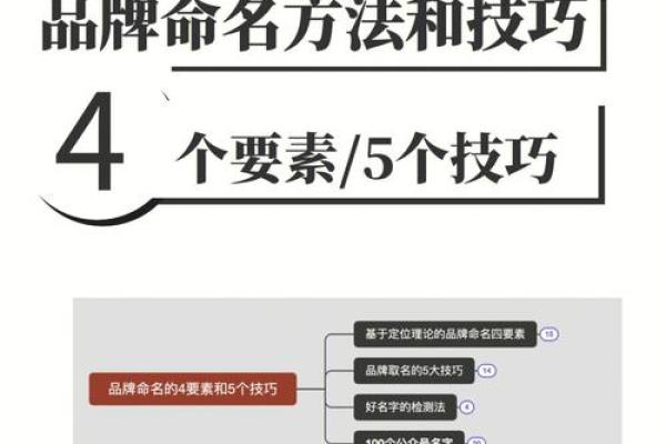 涵子名字的起源与命名技巧探讨