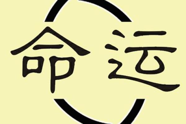 如何通过双凤朝阳命了解你的命运轨迹