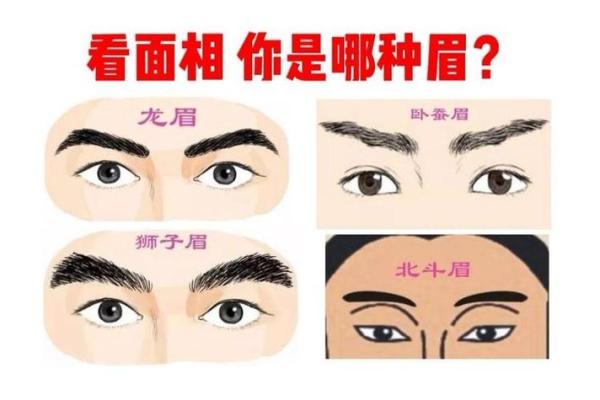 男人八字眉面相的寓意与命运解析