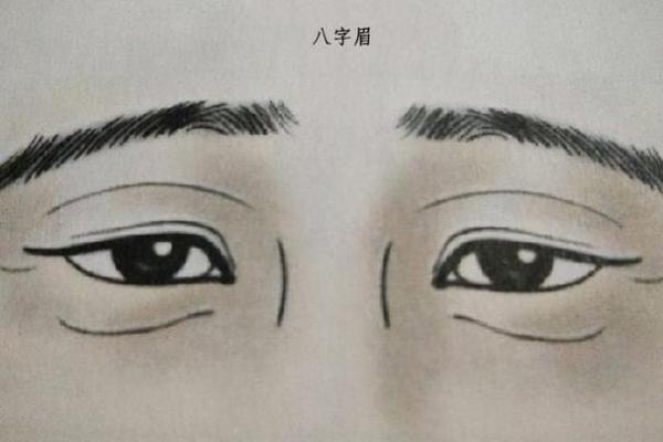 男人八字眉面相的寓意与命运解析