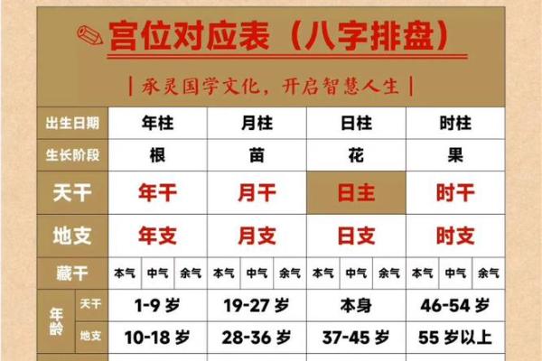 八字四柱中的食神与女性智慧的关系