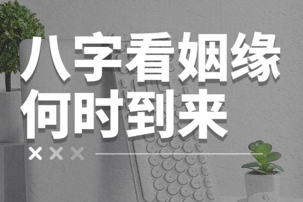免费八字婚姻测试，让你预见未来婚姻的挑战与机遇