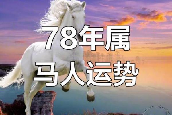 属马人的性格特点与运势分析