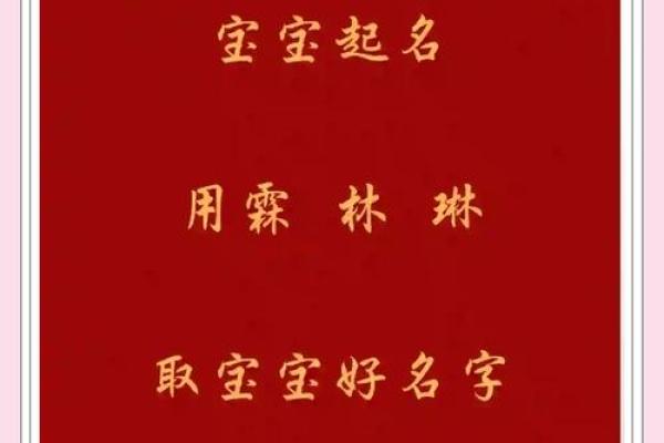 带琳字的女孩名字精选与寓意解析