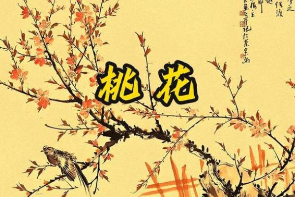 桃花星在八字中的作用与影响力