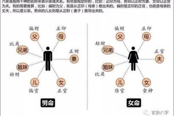 八字命理如何影响女性妇科健康分析