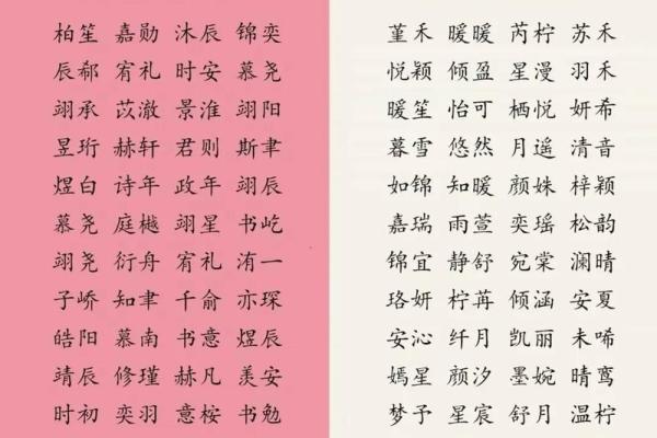 给小宝宝起名字的创意大全与参考指南