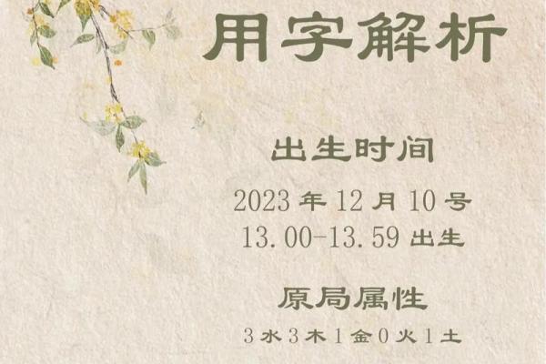 给小宝宝起名字的创意大全与参考指南