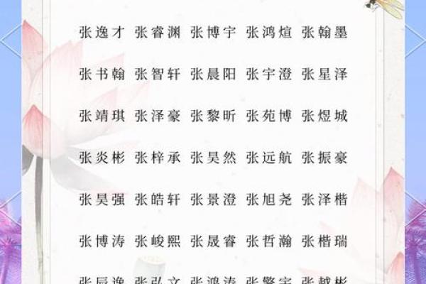 取一个带硕的男孩名字，开启不凡的人生之路